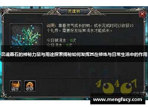 灵魂晶石的神秘力量与用途探索揭秘如何发挥其在修炼与日常生活中的作用